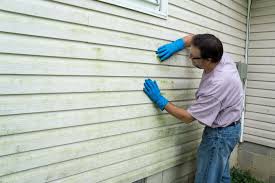 Best Siding Painting and Refinishing  in Dundee, NY